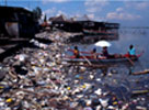sediment and pollution threaten reefs